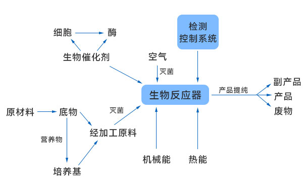 一般生物技术生产过程示意图